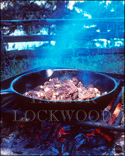 Morels on campfire