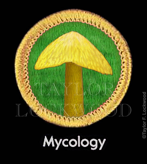 Boy_Scouts_Mycology