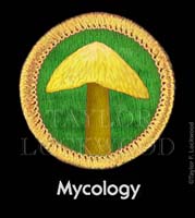 Boy_Scouts_Mycology